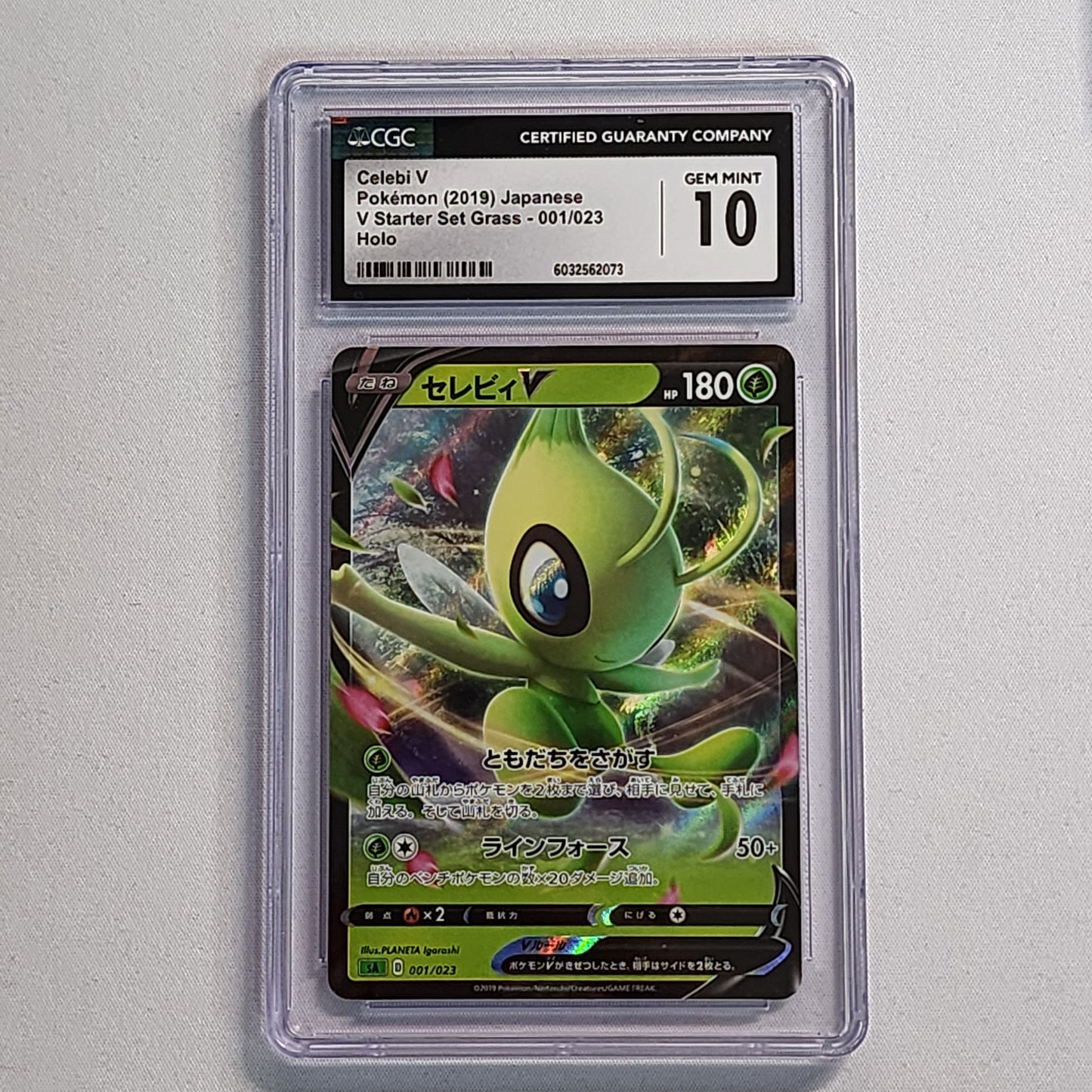 Pokemon Slabs