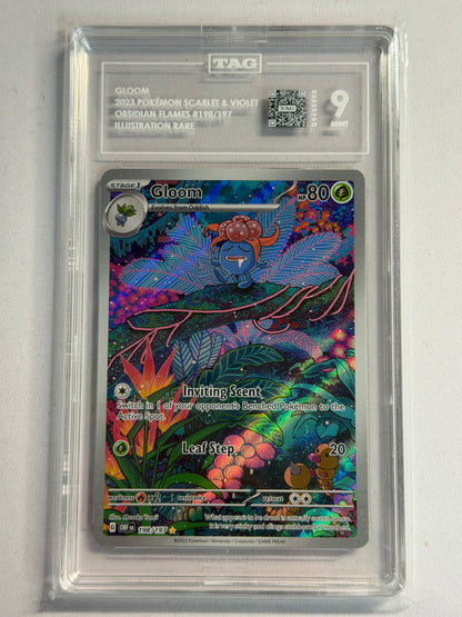 Graded Cards - CGC - PSA