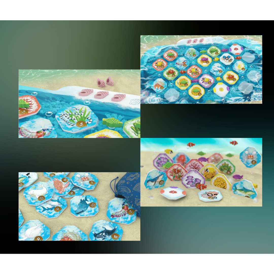 Shallow Sea - Board Games