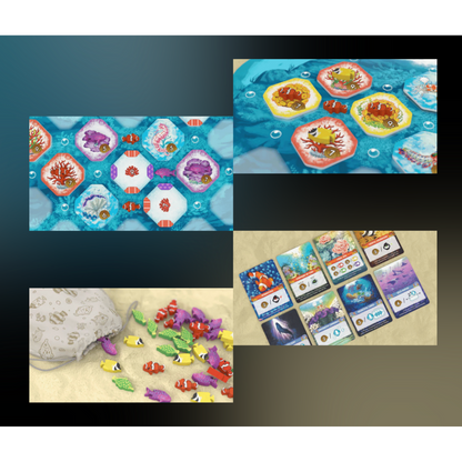 Shallow Sea - Board Games