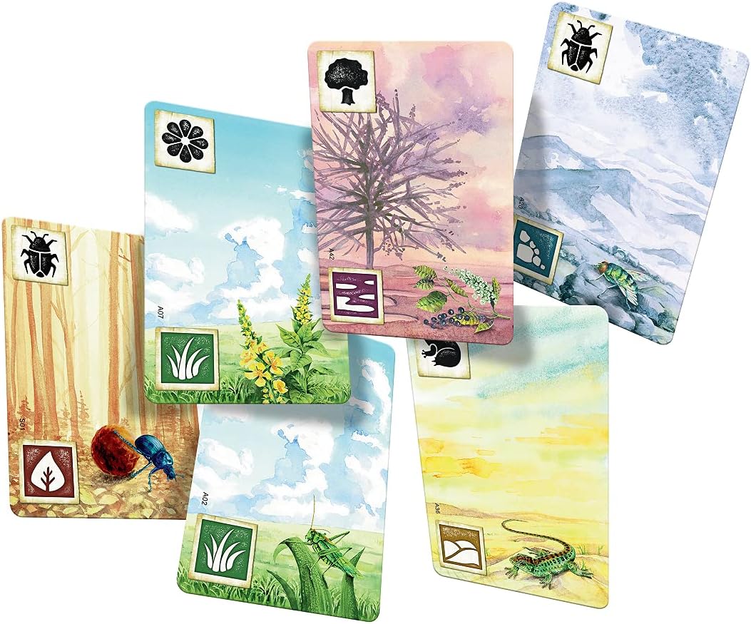 Meadow Board Game